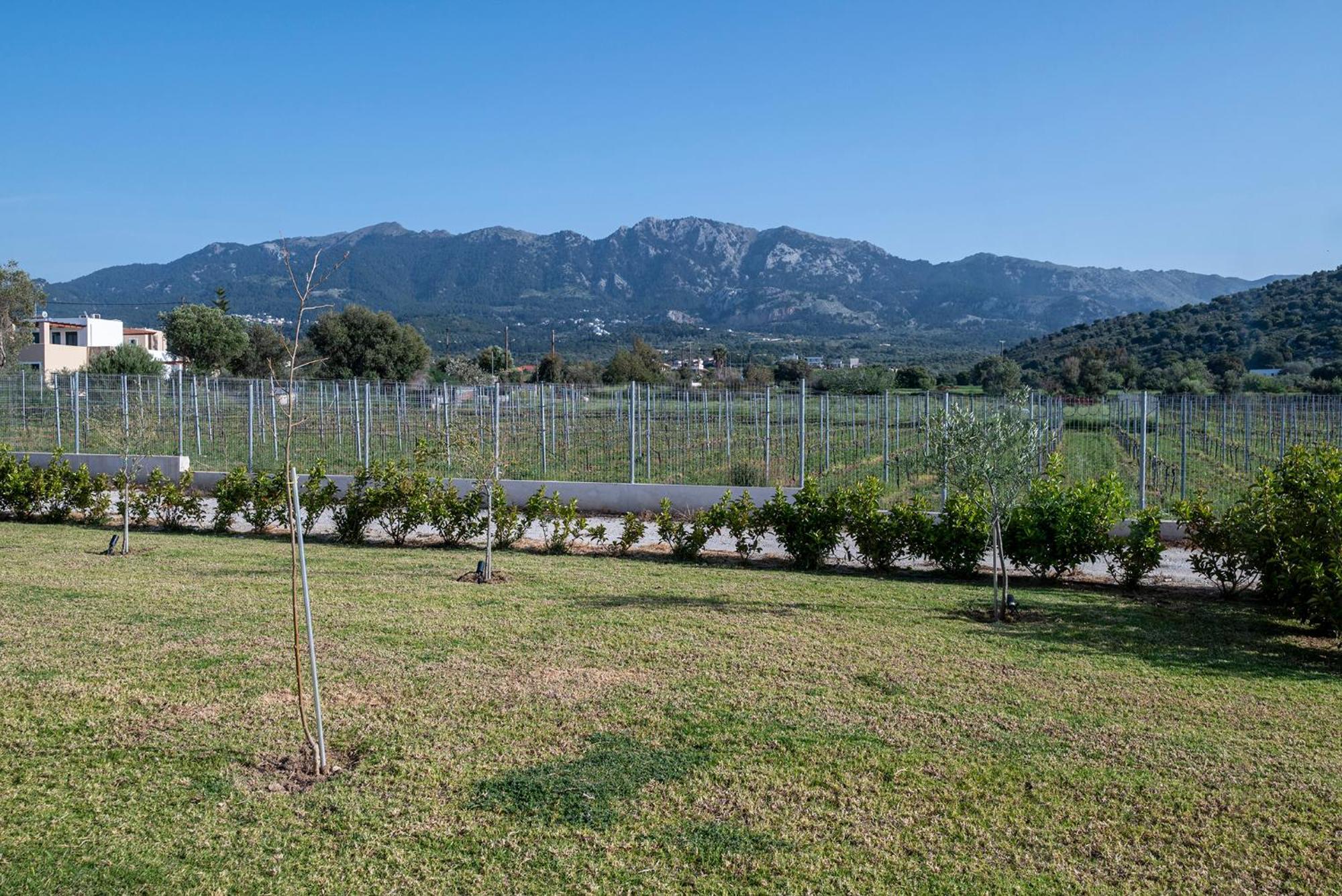 Villa Olive Tree Garden Linopotis Exterior foto